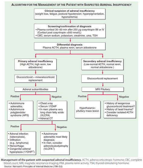 Comprehensive Guide to Crohn's Disease Treatment: Effective Medical Methods and Therapies for Managing Symptoms and Achieving Remission