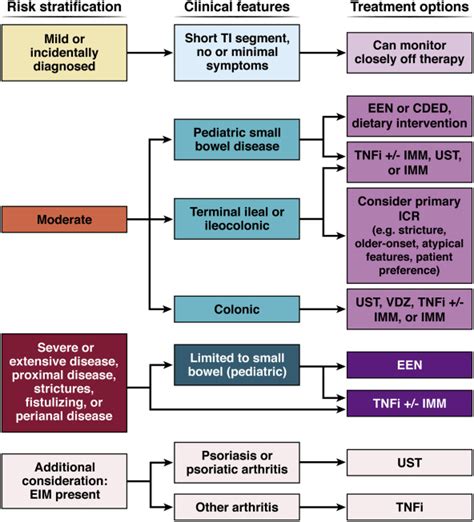 Comprehensive Guide to Crohn's Disease Treatment: Effective Medical Methods and Therapies for Managing Symptoms and Achieving Remission